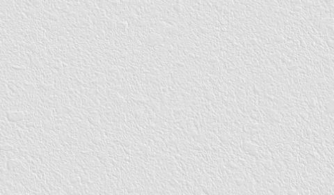 Background Privacy Policy